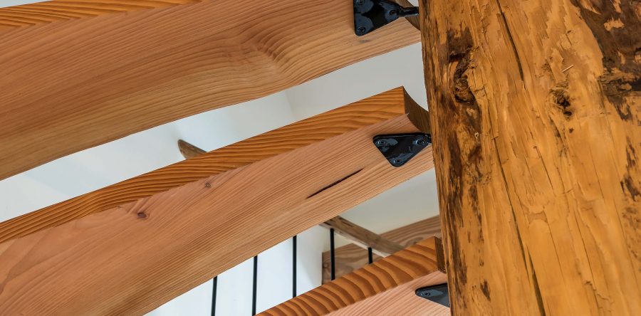 Een boom van een trap